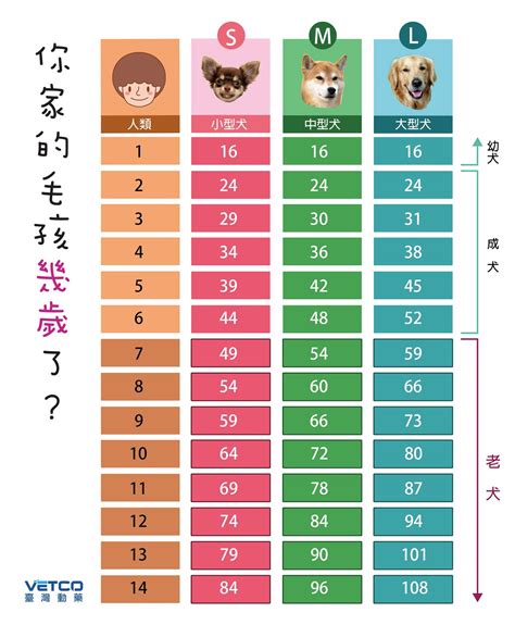 狗 15歲|【狗狗年齡計算器】狗狗年齡 vs 人類年齡 